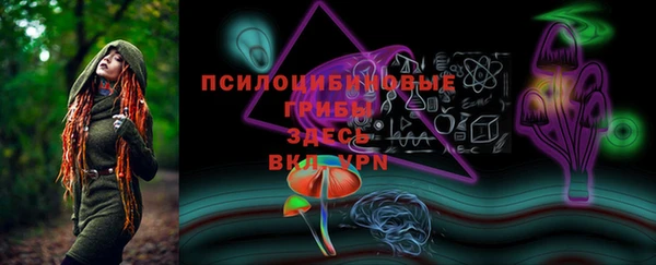 бошки Богородицк