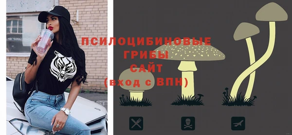 соль курить ск Богданович