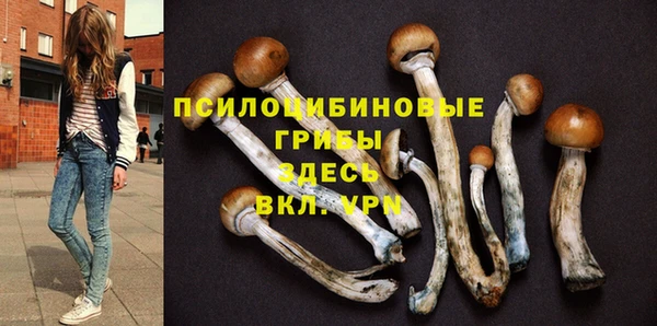 бутират Богородск