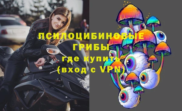 бошки Богородицк