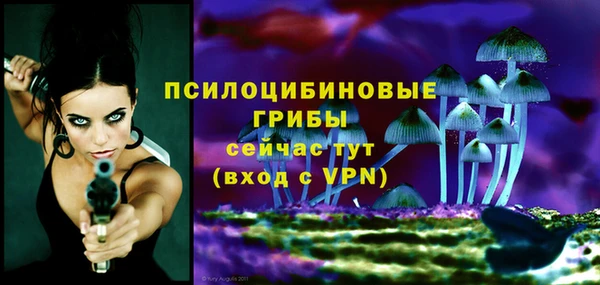бошки Богородицк
