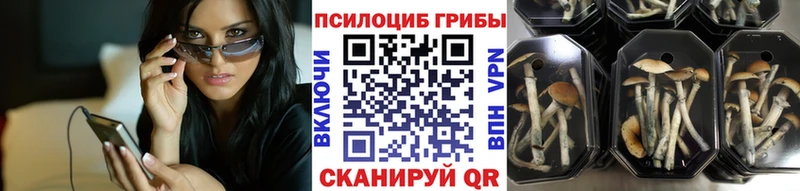 kraken зеркало  Нижний Тагил  Галлюциногенные грибы мухоморы 